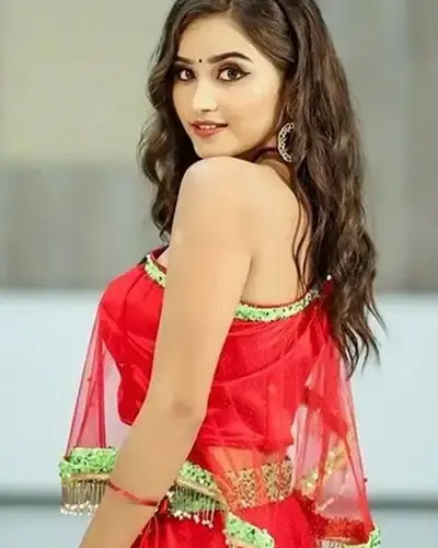 Escort In Korba